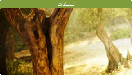 خانه