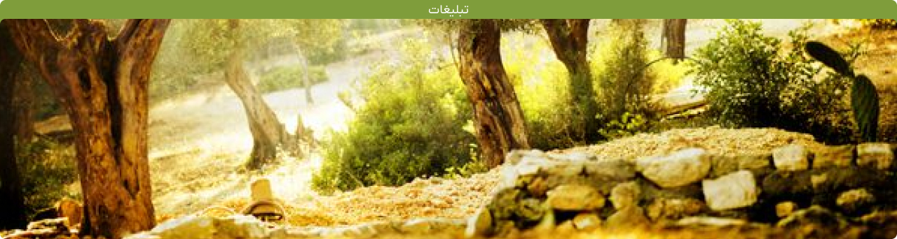 خانه
