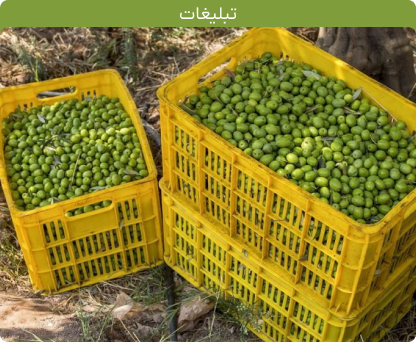 خانه