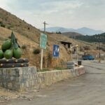 گالری اویتا